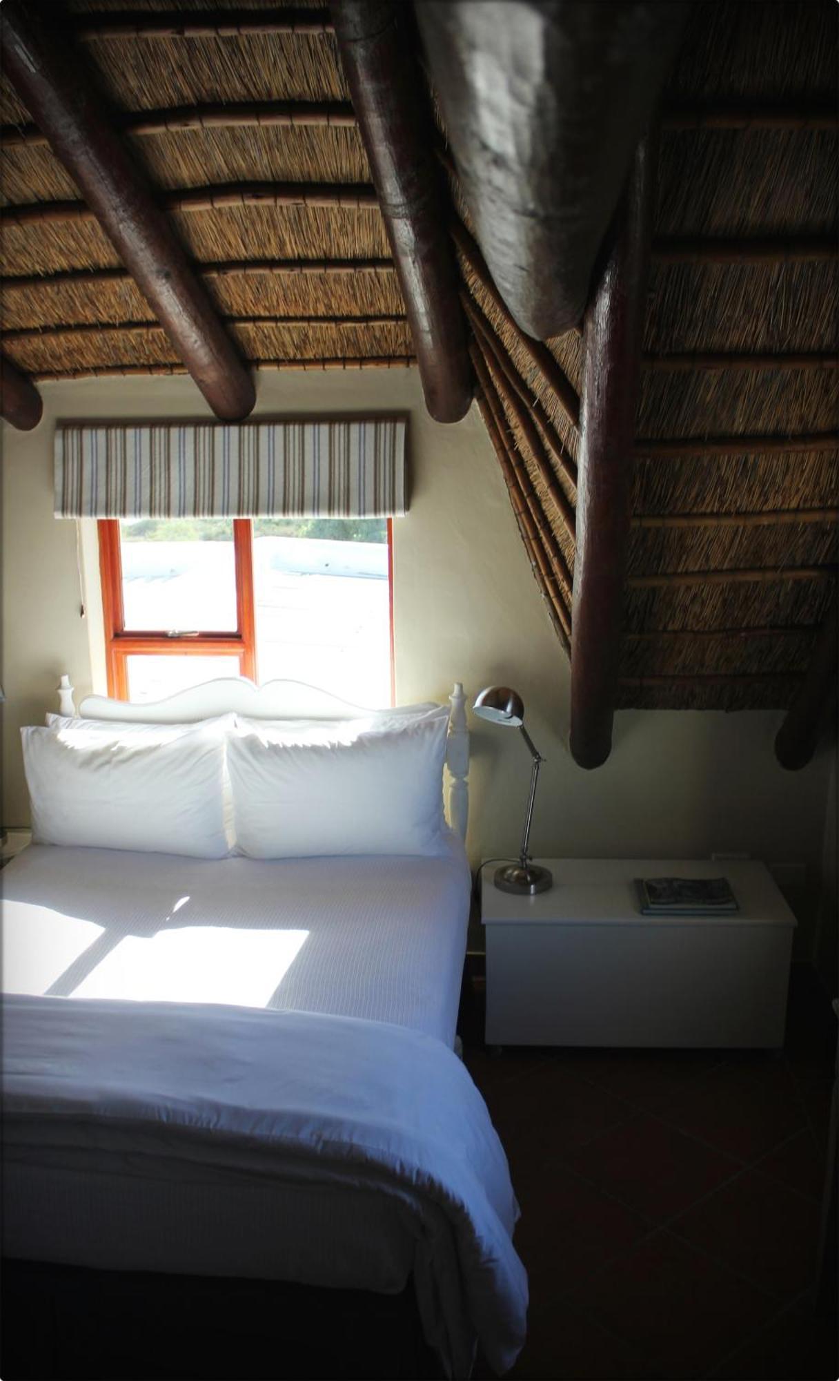 Klokkiebosch Guesthouse Jacobs Bay Bilik gambar